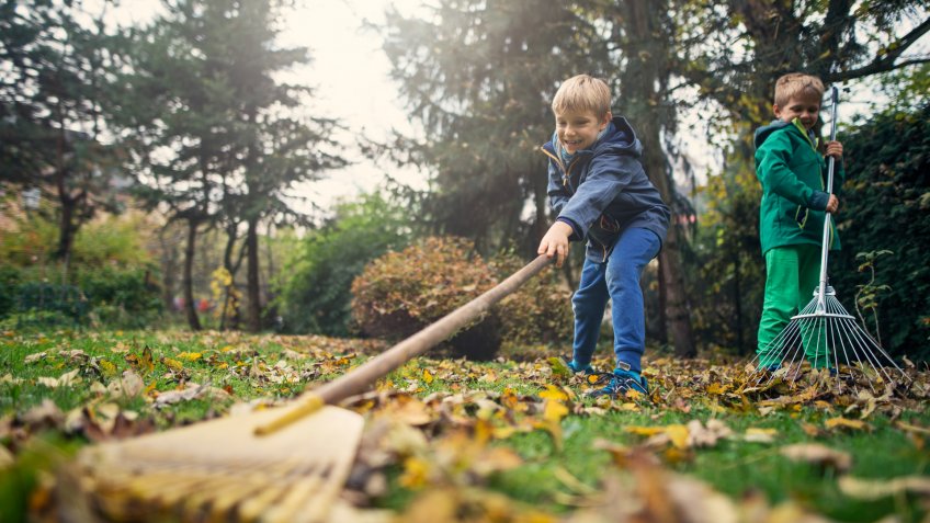Little boys raking autumn leaves.