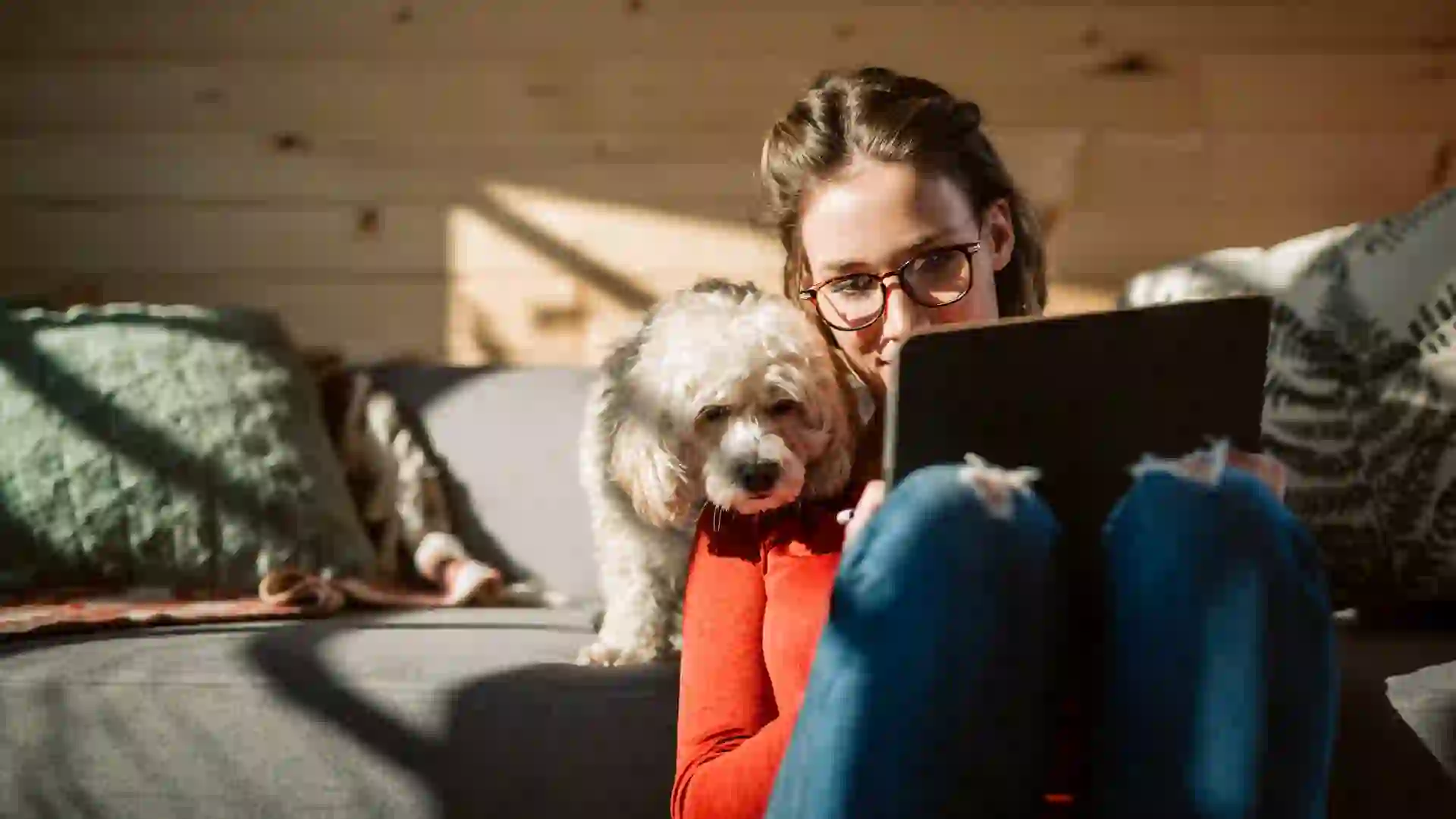 Female Artist Drawing At Home In Company Of Her Cute Poodle Dog.
