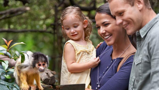 family in the zoo