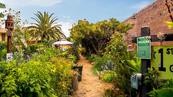 LONG BEACH, CA: July 15, 2017: Urban garden Certified Wildlife Habitat in East Villages Arts District.