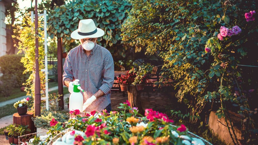 Man spraying flowers in the garden.