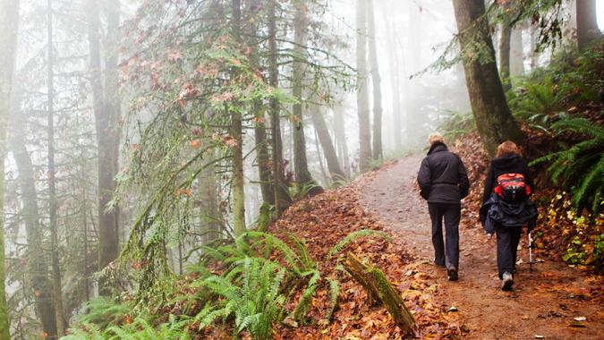 Portland, Oregon, USA - November 28, 2011: Two women hike through a foggy forest in Portland, Oregon on a cold winter day.