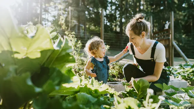 How To Create a Green Space in Your Home To Save Money on Your Grocery Shopping List How To Create a Green Space in Your Home To Save Money on Your Grocery Shopping List