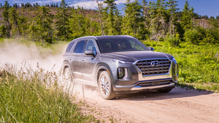 Hyundai, Idaho, Palisade