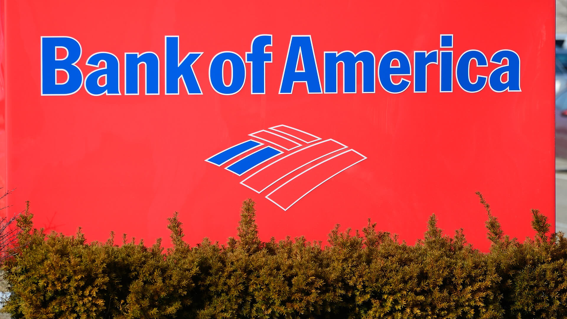 bank-of-america-behance