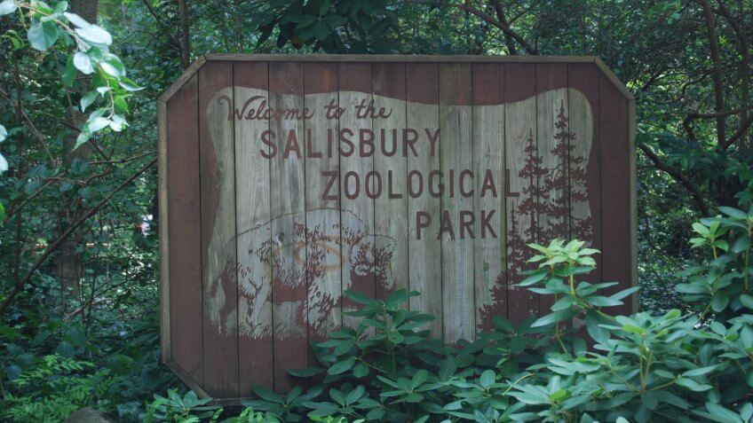 Maryland - Salisbury Zoo.