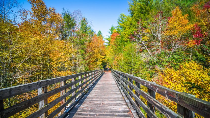 scenic views along virginia creeper trail.