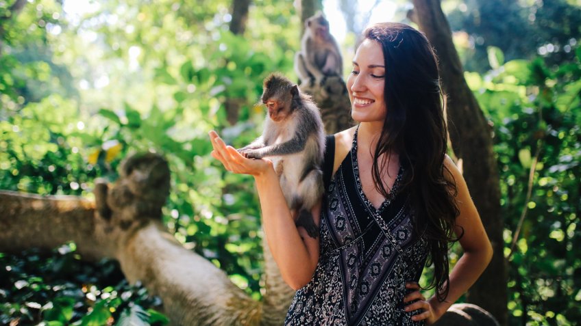 Young woman playing with macaque monkeys near the famous Monkey Forest in Ubud, a small town in Bali, Indonesia.