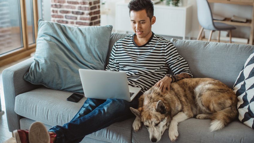 Young man sitting on sofa and reading something on laptop, he prepare for exams.