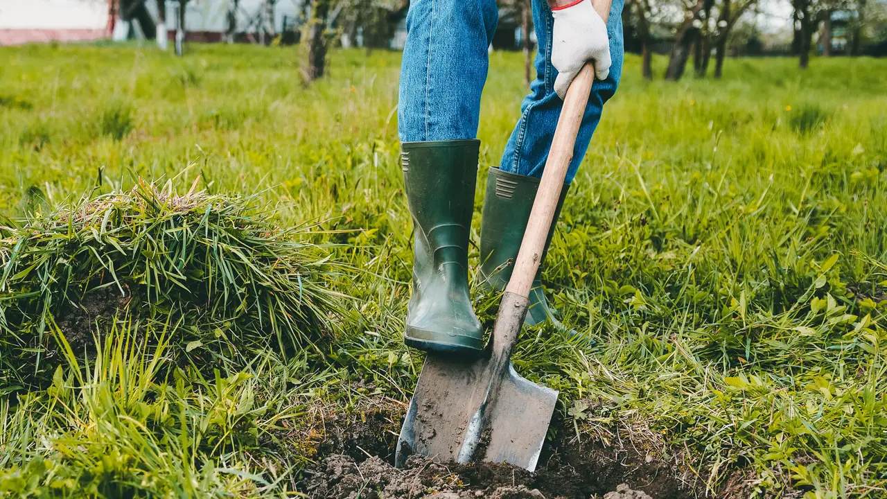 Man digs a hole in the ground for planting trees.