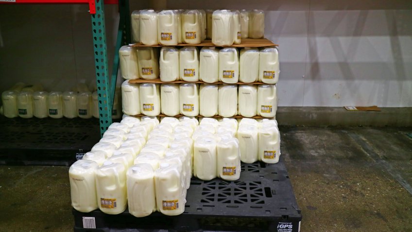 San Leandro, CA/USA - October 8, 2019: Milk stacked together at Costco Wholesale.