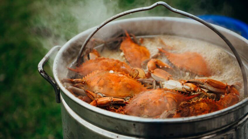 cooked blue crabs boil in a giant pot at a Carolina crab boil.