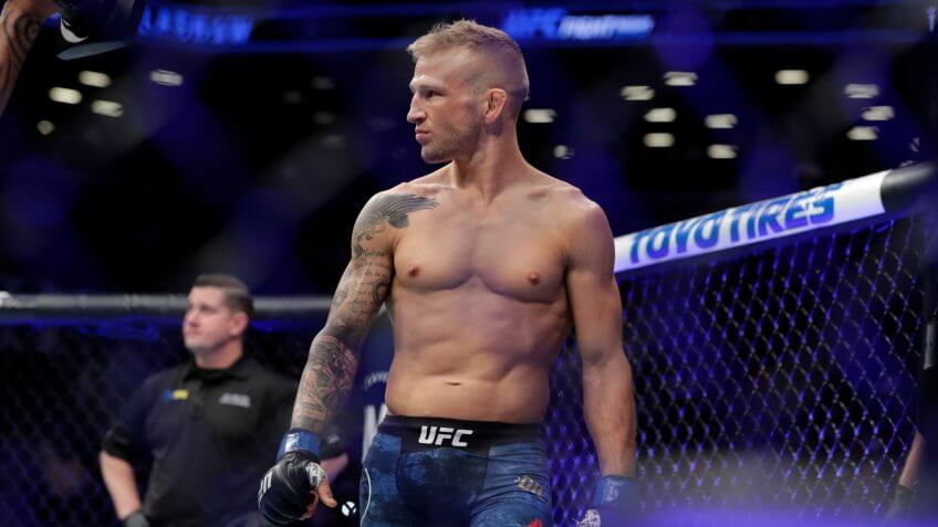 TJ Dillashaw, UFC, wrestling