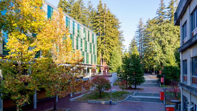 University of California, Santa Cruz, UC Santa Cruz, UCSC