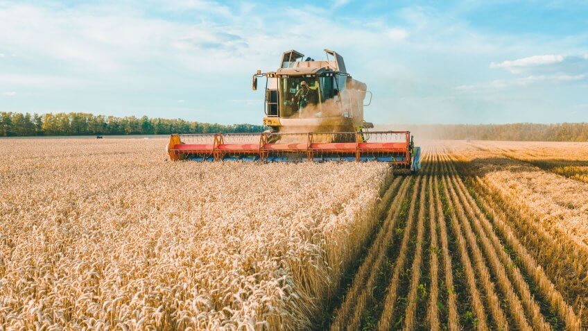 agricultural farming