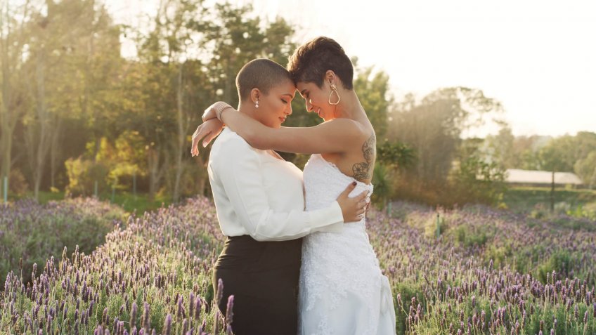Cropped shot of an affectionate young lesbian couple standing with their arms around each other in a meadow on their wedding day.