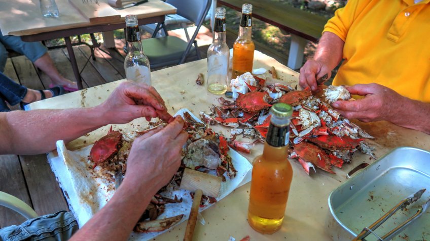 Backyard crab feast eating steamed blue crab from Baltimore, Maryland in the summer.