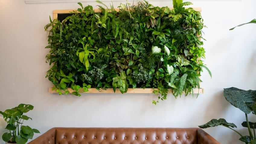 green wall
