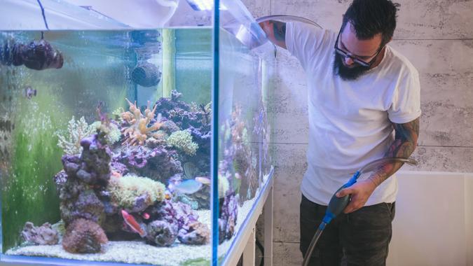 Reef Tank Maintenance Bearded man cleaning reef tank.