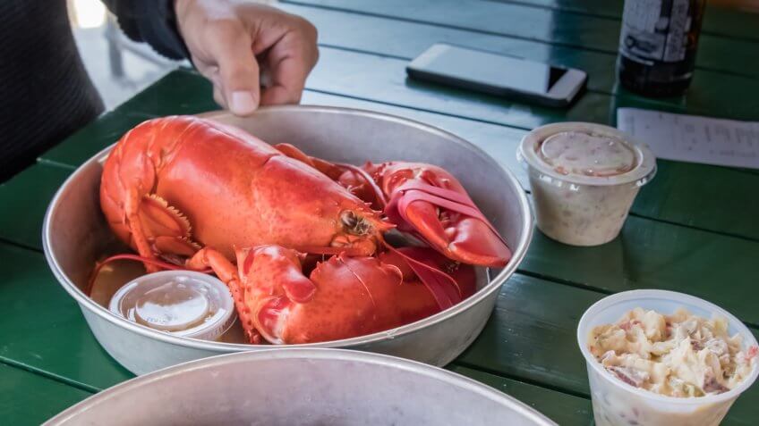 Very large steamed Maine Lobster, served in very casual restaurant.