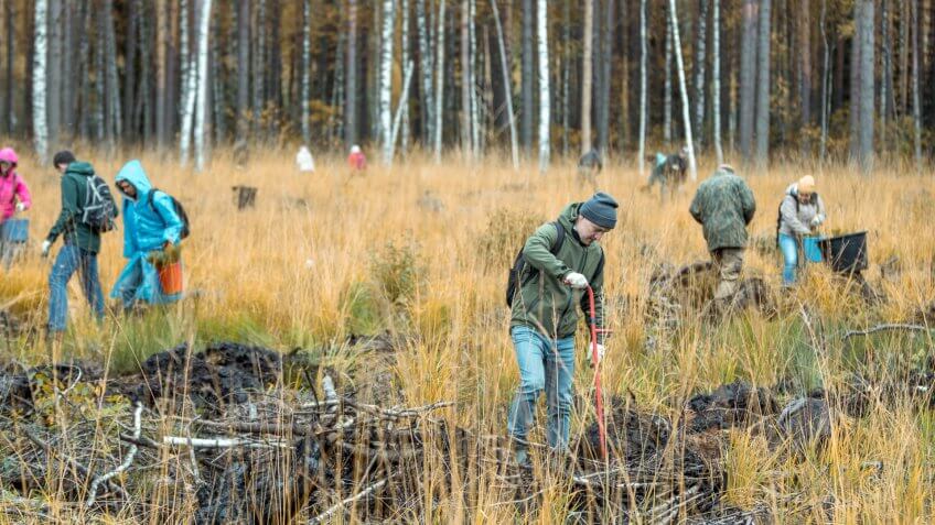 A group of people volunteers takes part to planting the pine seedlings.