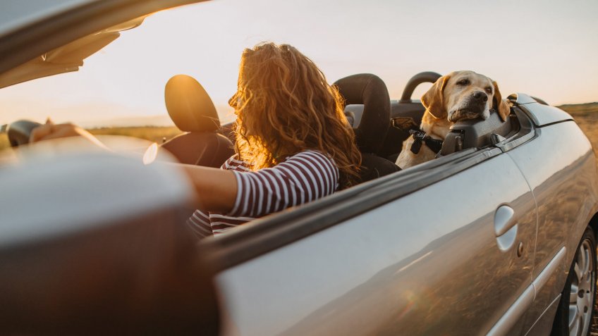 Free girl going to trip with her dog.