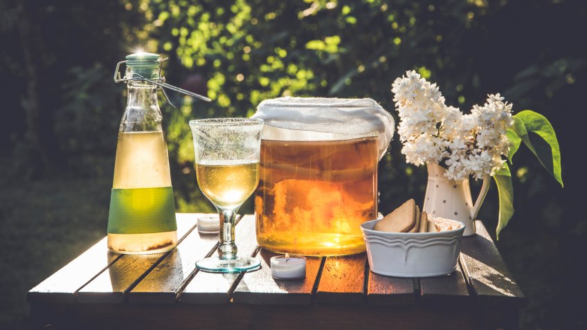 Jar with kombucha drink and tea mushroom in and served in glass outdoors in sunny summer evening, garden, cookies in bowl and white lilac flower in jar shape vase.