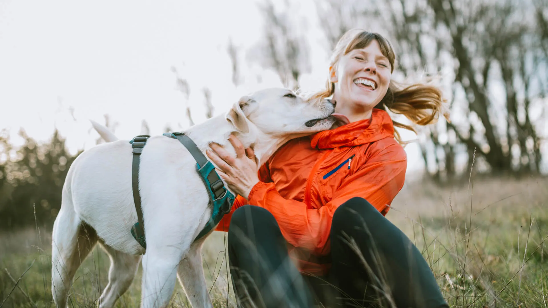 A young adult woman takes a break from exploring a nature park on a beautiful day in the Pacific Northwest, her canine companion joining her.