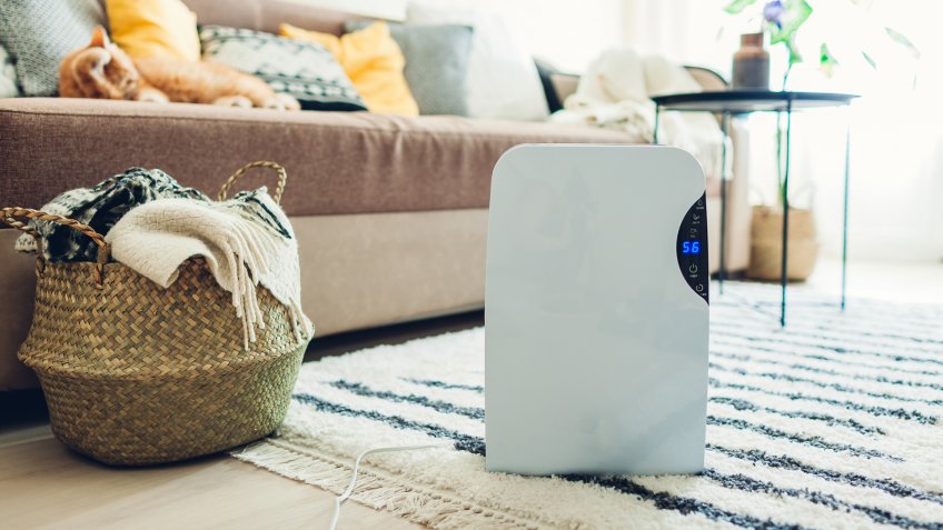 Dehumidifier with touch panel, humidity indicator, uv lamp, air ionizer, water container works at home.