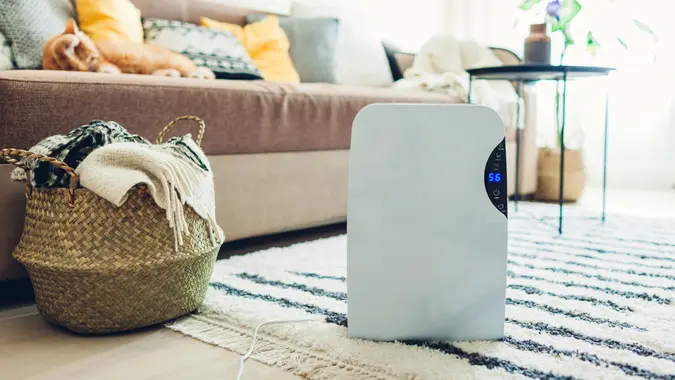 Dehumidifier with touch panel, humidity indicator, uv lamp, air ionizer, water container works at home.