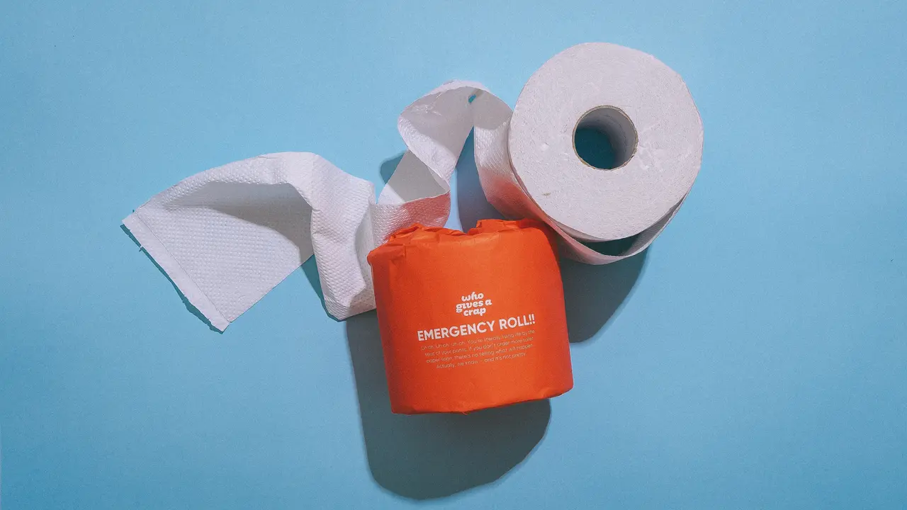 emergency toilet paper