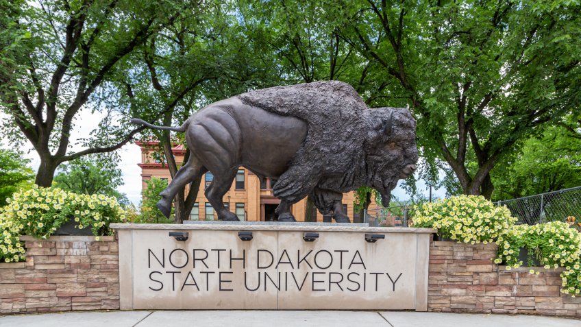 FARGO, ND/USA - JUNE 27, 2019: Bison Statue on the campus of the North Dakota State University.