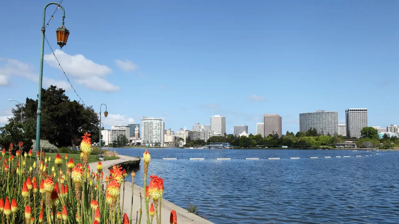 A long-range shot of the Oakland skyline from the banks of Lake Merritt.