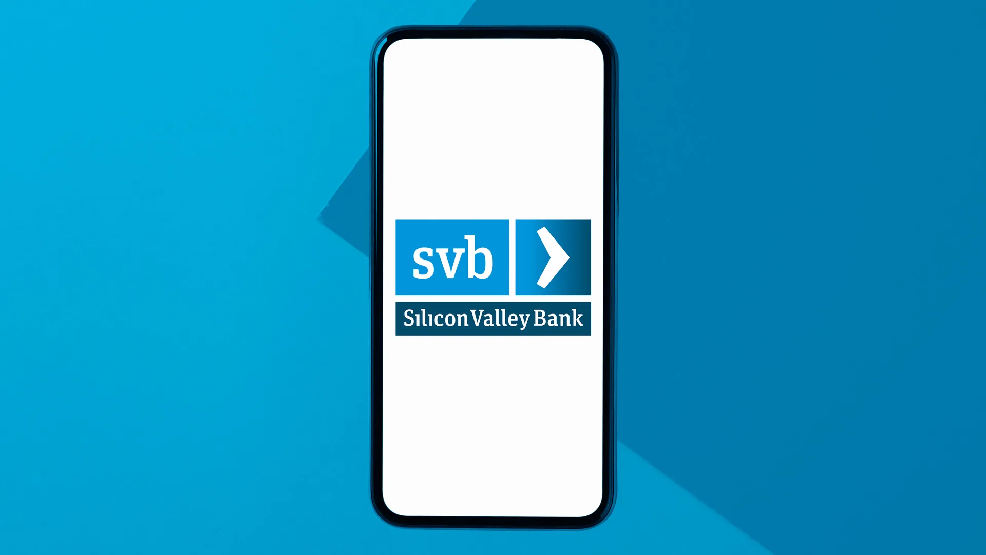 Silicon Valley Bank review