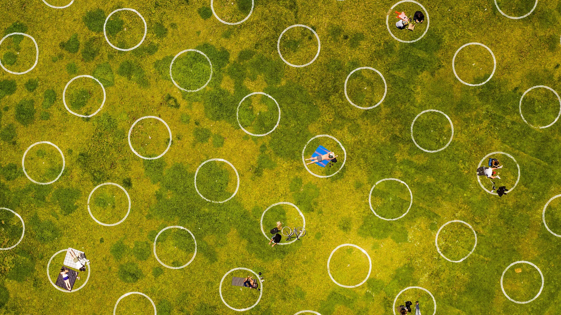 Mandatory Credit: Photo by Noah Berger/AP/Shutterstock (10654910c)Circles designed to help prevent the spread of the coronavirus by encouraging social distancing line San Francisco's Dolores ParkVirus Outbreak California Daily Life, San Francisco, United States - 21 May 2020.