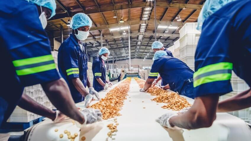 Factory, Manual Worker, Quality Control - Biscuit Factory Worker Standing Besides the Conveyor Belt, Stacking the Freshly Baked Cookies for Packaging.