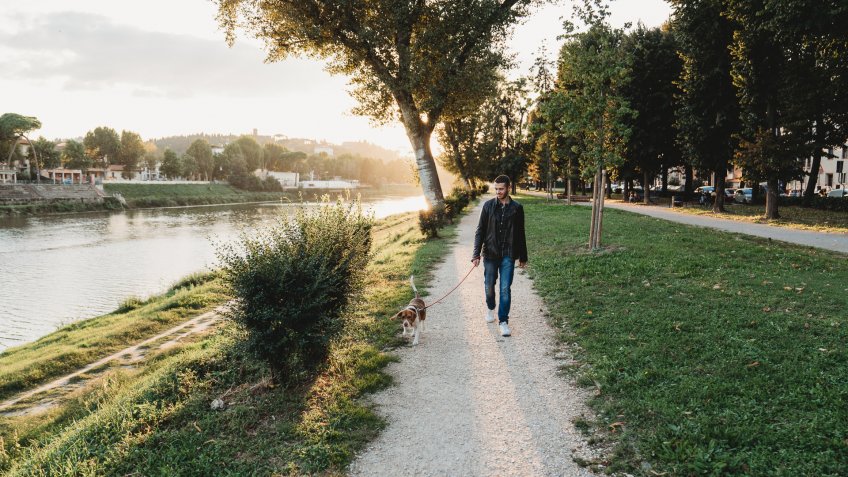 Young adult man walking with his dog near a river in the city.