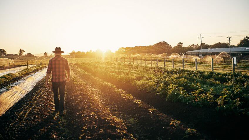 Rearview shot of a male farmer tending to his crops on the farm.