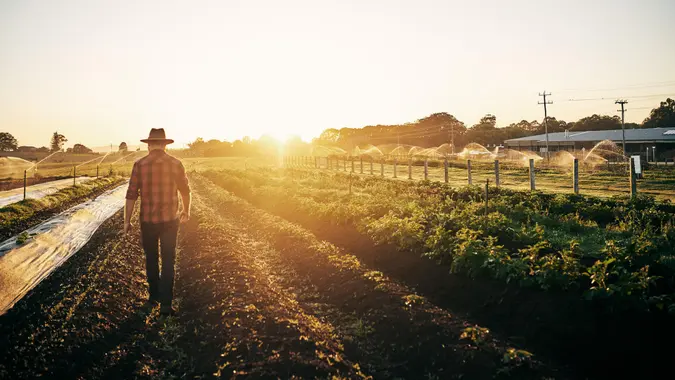 Rearview shot of a male farmer tending to his crops on the farm.