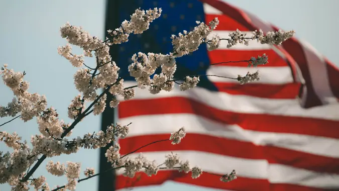 cherry blossoms, flowers, american flag, flag