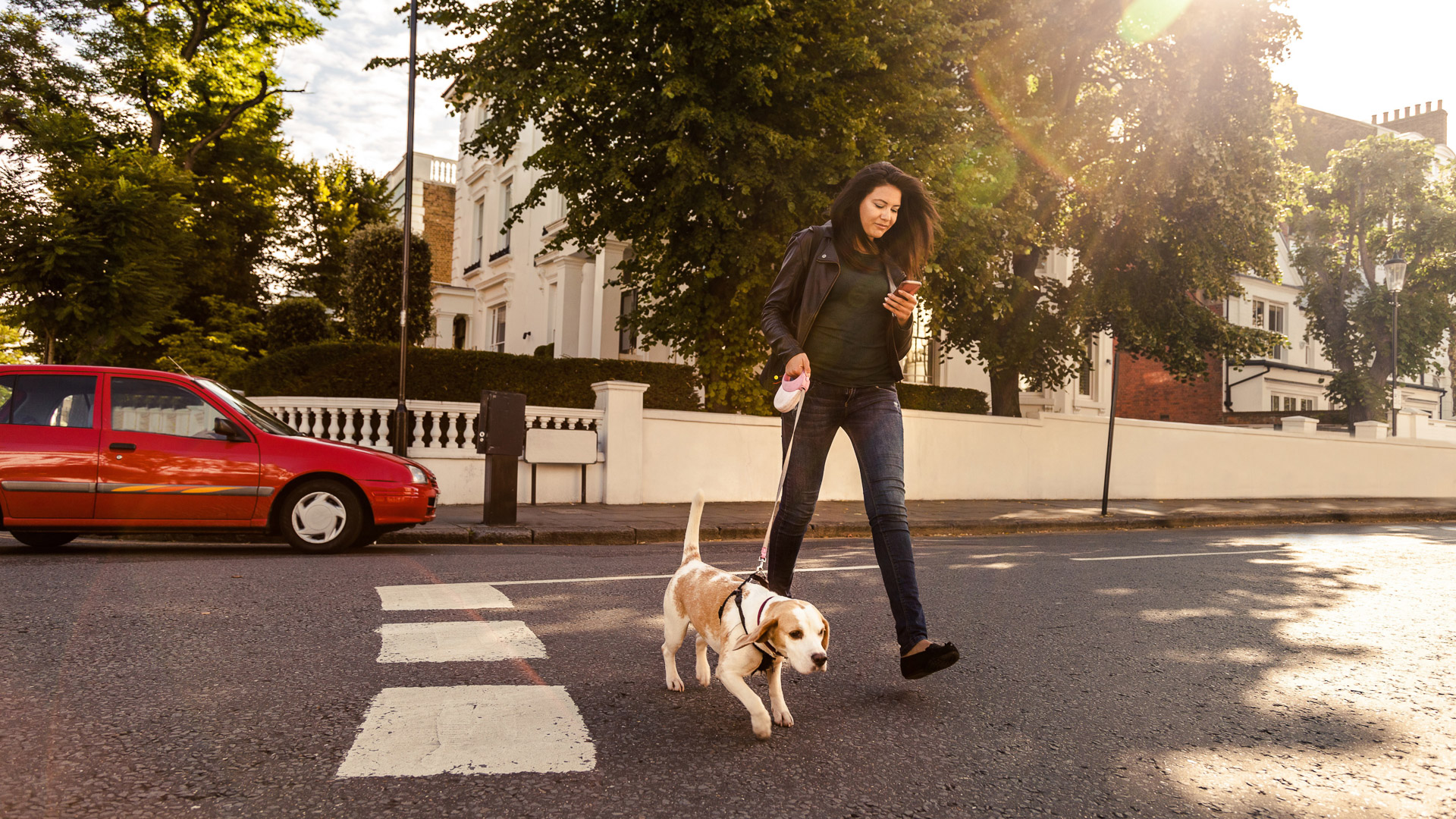 An Honest Look at Being a Dog Walker - Rover-Time