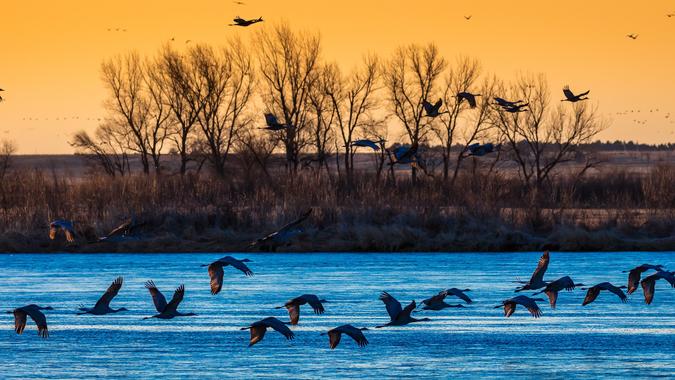 Grand Island Nebraska