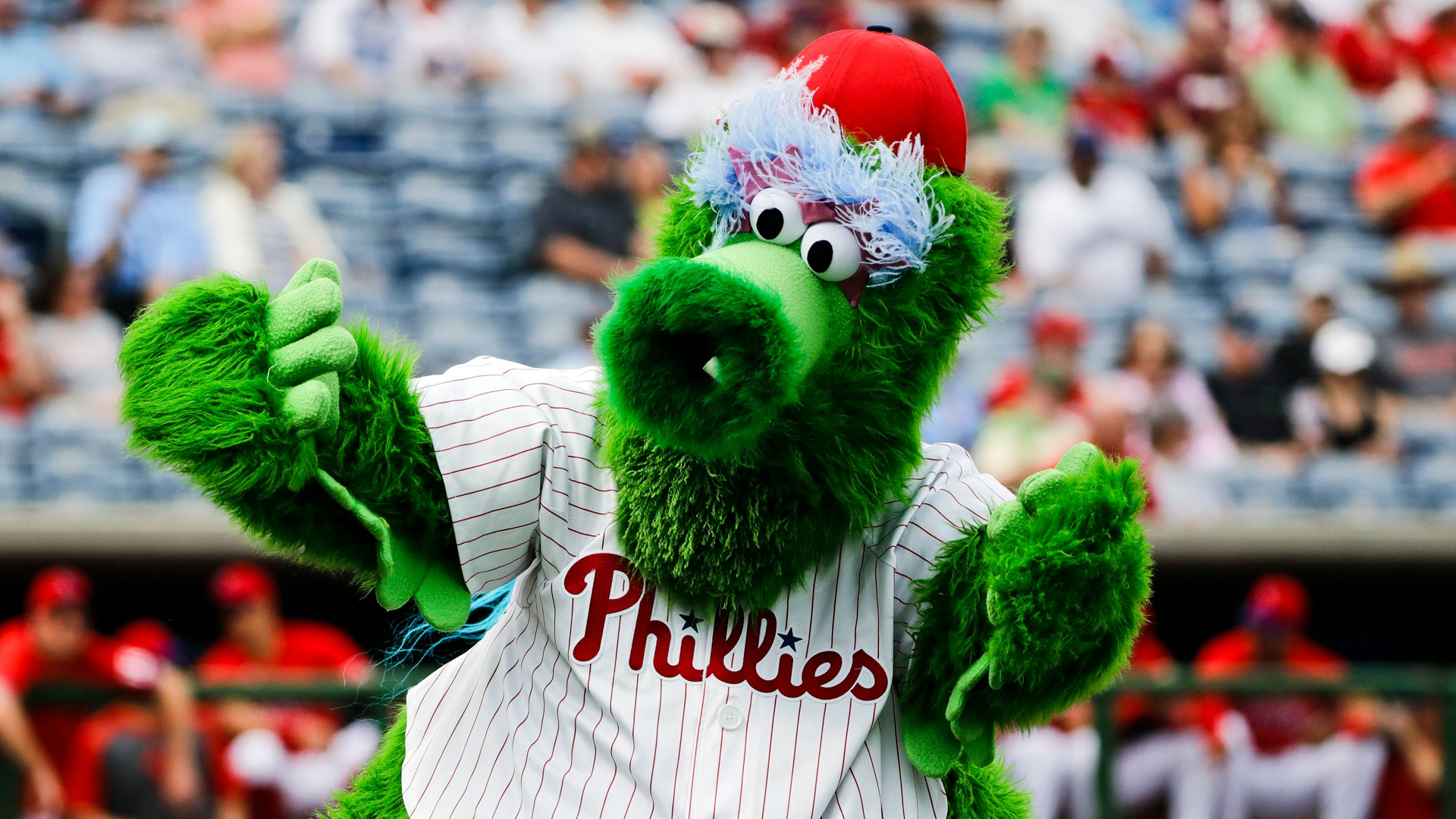 The Braves' mascot Blooper came for the Phanatic. Philly fought back.