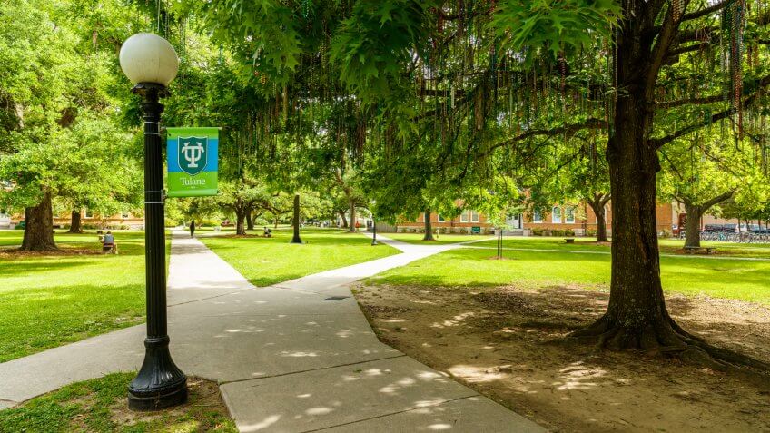 New Orleans, Louisiana USA - April 21, 2016: The graduation tradition of hanging Mardi Gras beads on a tree at Tulane University.