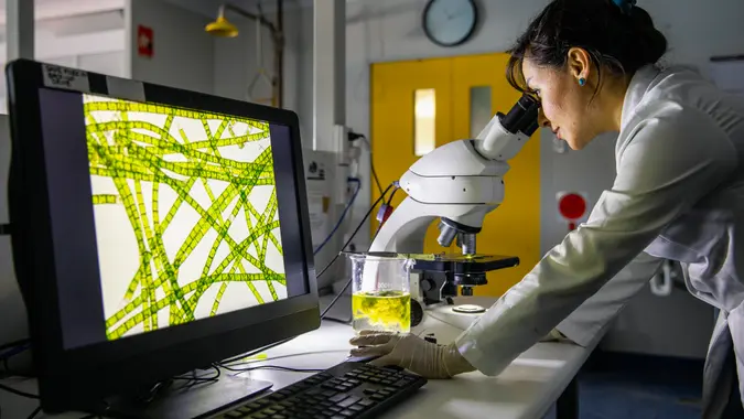 A side-view shot of a female scientist looking through a microscope to analyse her findings in Perth, Australia.