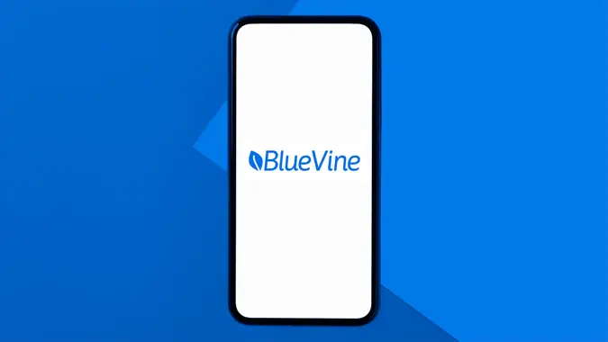 BlueVine review