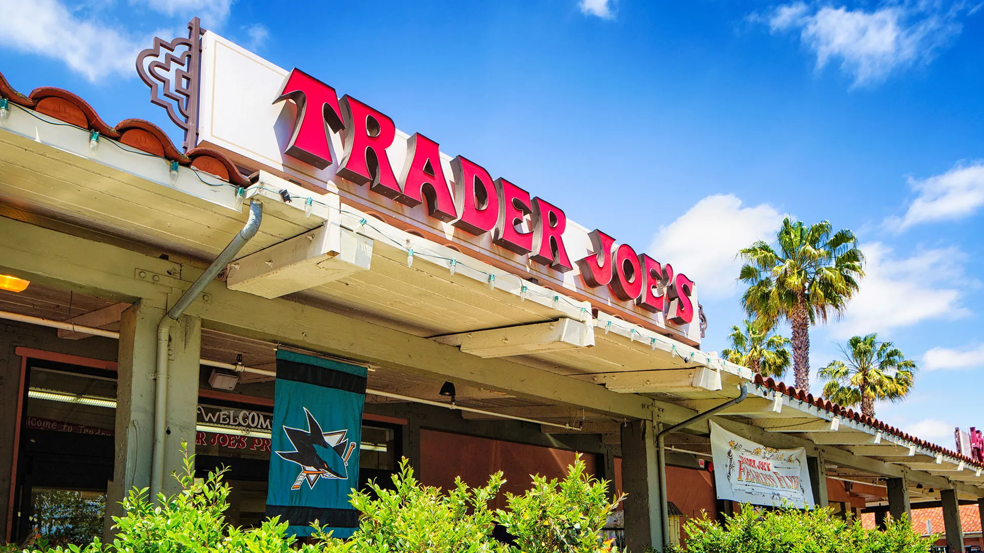 9 Best Items To Buy at Trader Joe's in January 2024 GOBankingRates