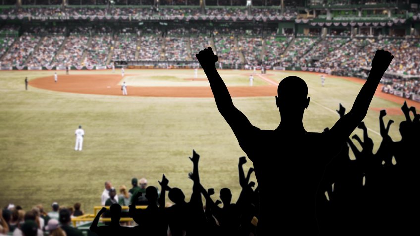 Fan celebrating a victory at a championship baseball game.