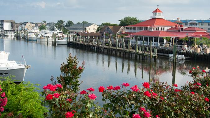 A nautical scene of a canal in a small town with roses in the foreground.