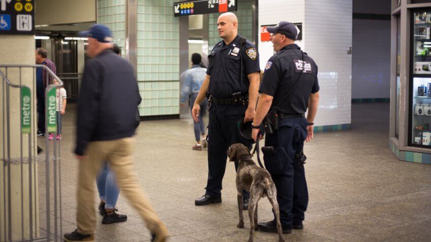 New York, NY: A pair of police officers with a guard dog and commuters in the 42nd Street subway station.